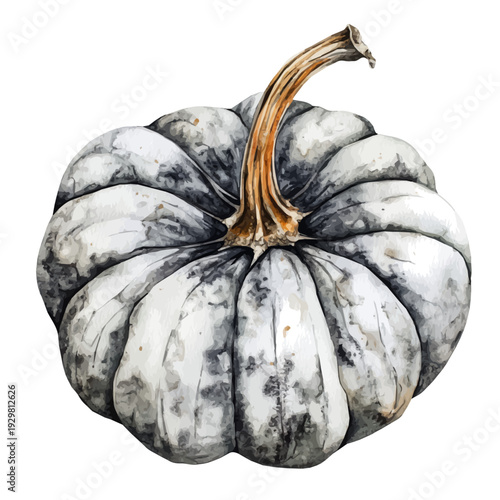 Pumpkin, watercolor illustration featuring soft shadows and luminous, isolated on a white background.