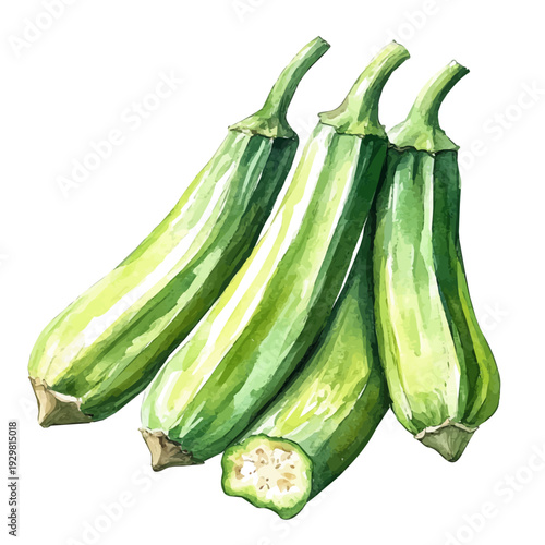 Okra, watercolor illustration featuring soft shadows and luminous, isolated on a white background.