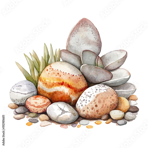 Lithops, watercolor illustration featuring soft shadows and luminous, isolated on a white background.