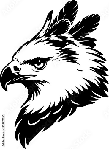 eagle vector illustration