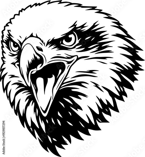 head of a eagle