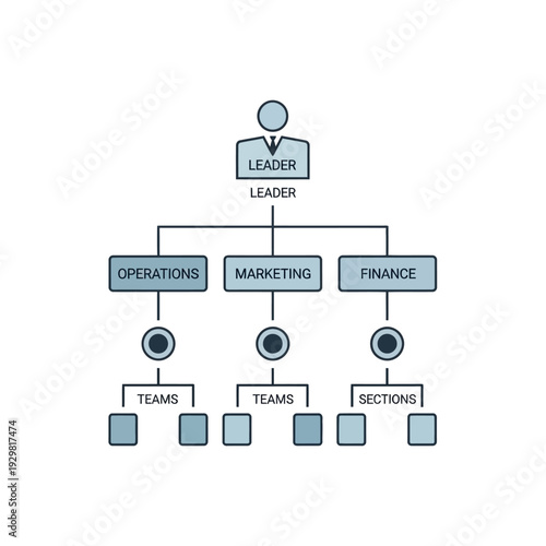A structured organizational chart illustrating the hierarchical structure of a company
