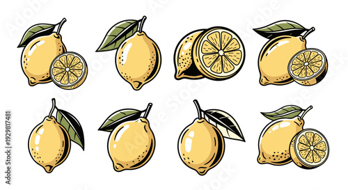Collection of Hand-Drawn Lemons and Slices with Leaves.