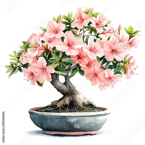 Royal Azalea Bonsai, watercolor illustration featuring soft shadows and luminous, isolated on a white background.