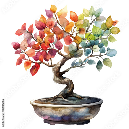 Rainbow Eucalyptus Bonsai, watercolor illustration featuring soft shadows and luminous, isolated on a white background.