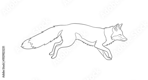 Running fox outline
