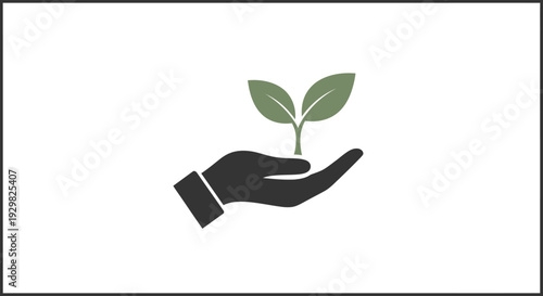 Hand Holding Small Green Plant Sprout.