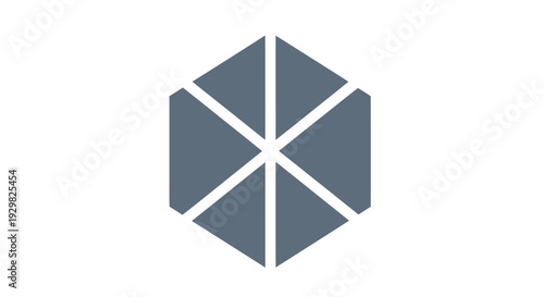 Hexagon Shape with White Divisions Inside.