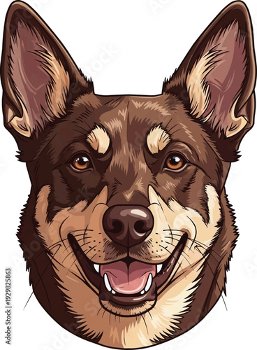 Working Kelpie dog happy face closeup headshot portrait