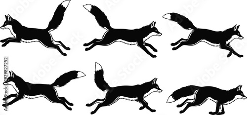 Running fox silhouette sequence, jumping wild animal vector set, red fox motion cycle for animation, wildlife cad drawing flat vector illustration