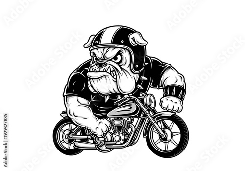 Tough Bulldog Biker Riding a Motorcycle with Fierce Expression.