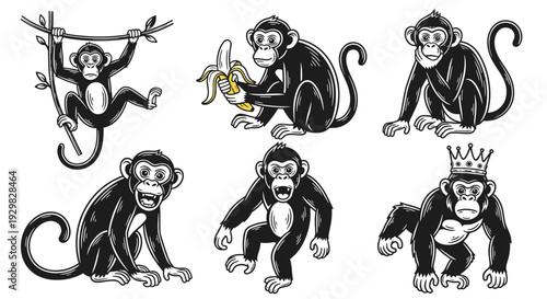Collection of Six Diverse Monkey Illustrations in Various Poses.