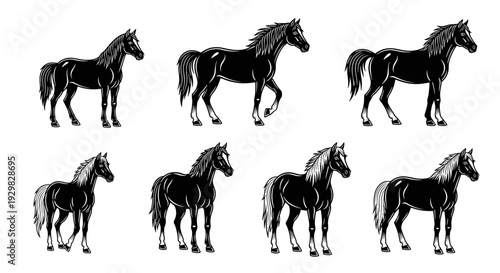 Collection of Black Horse Silhouettes in Various Poses.