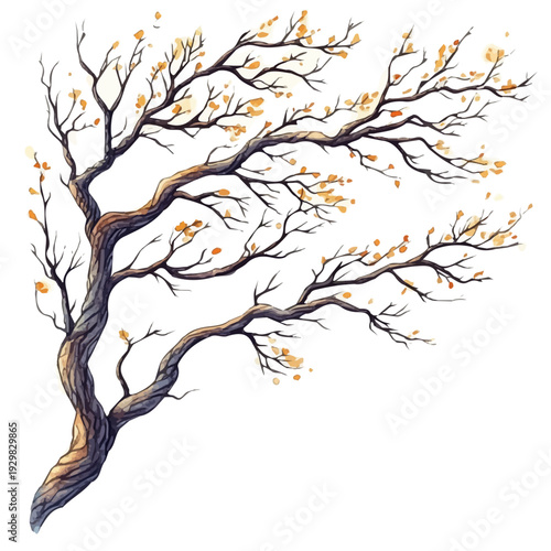 Autumn Tree Branch, watercolor drawing vector, isolated on a white background.