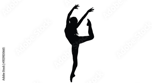 A dynamic image showcasing a dancer in mid leap illustrating grace and power presented as a striking silhouette high quality