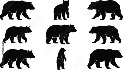 Black bear silhouettes set including grizzly walking standing and polar bear isolated on white background for wildlife nature logo and graphic design