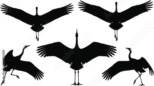 Black crane silhouette vector illustration set, large flying storks with wide wings and long necks, aquatic bird icons for nature branding and wildlife conservation.