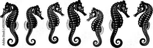 Black seahorse silhouette vector illustration set, detailed aquatic marine animal icons for ocean nature branding, exotic underwater wildlife graphics for coastal aquarium design elements.