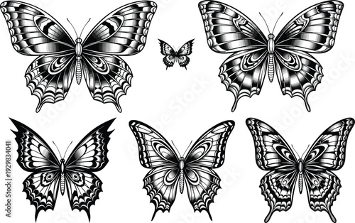 Hand drawn butterfly vector illustration set, detailed black and white insect wing sketches, vintage lepidoptera nature graphics for elegant tattoo design and artistic pattern branding.