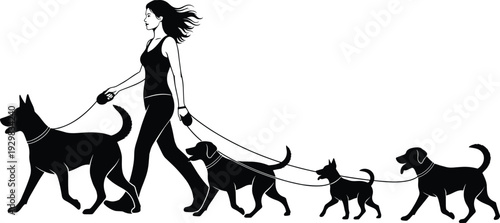 Professional female dog walker silhouette vector set, woman walking multiple pets on leashes, canine service branding for pet sitting and local animal care business graphics.