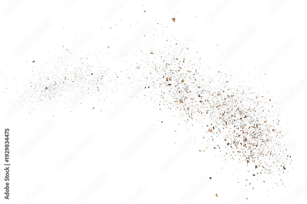 Obraz premium Pieces of tree bark and ashes flying, isolated on white background and texture, clipping path, design element
