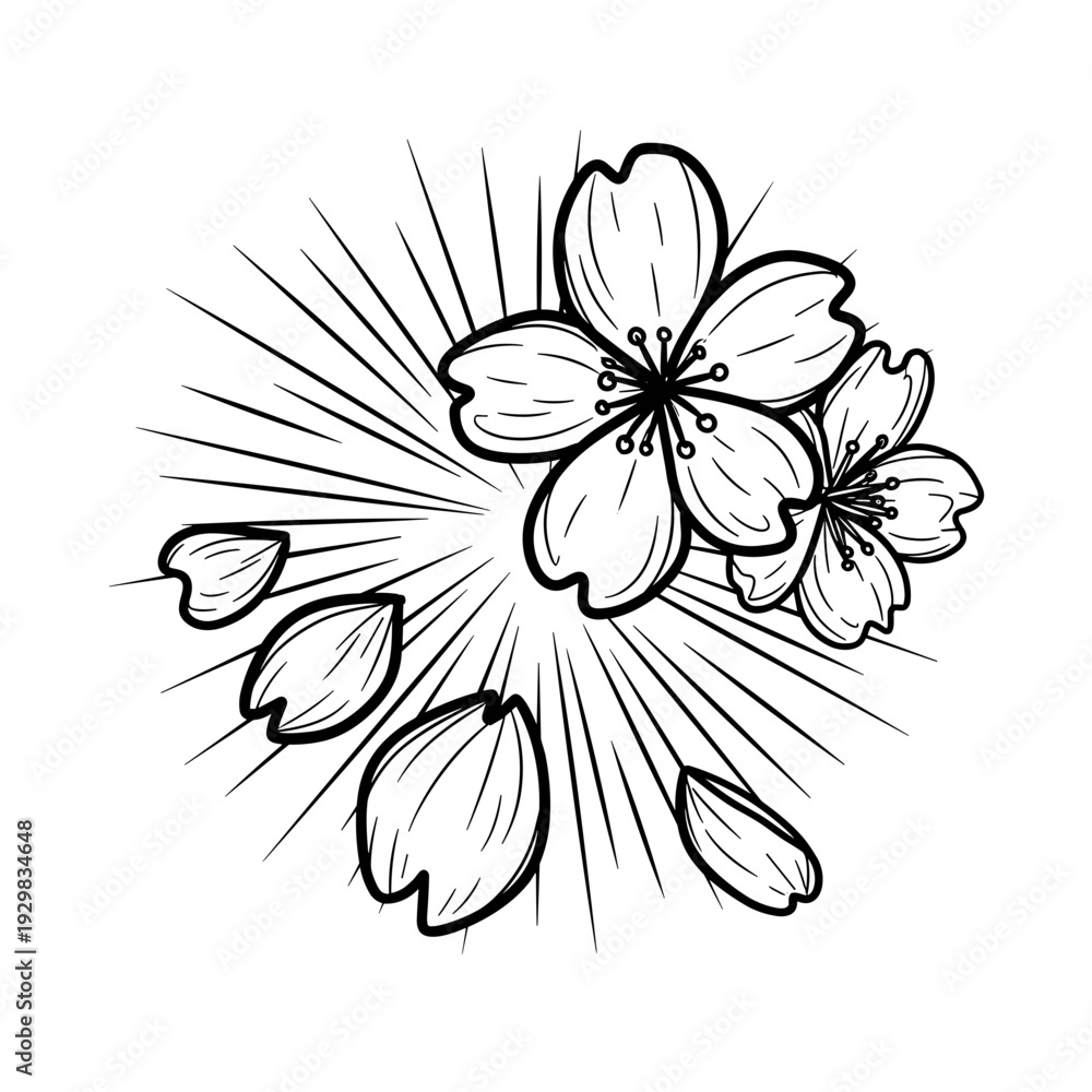 Obraz premium Cherry blossom flowers in black and white with rays of light in sketchy doodle style