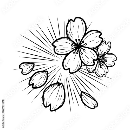 Cherry blossom flowers in black and white with rays of light  in sketchy doodle style