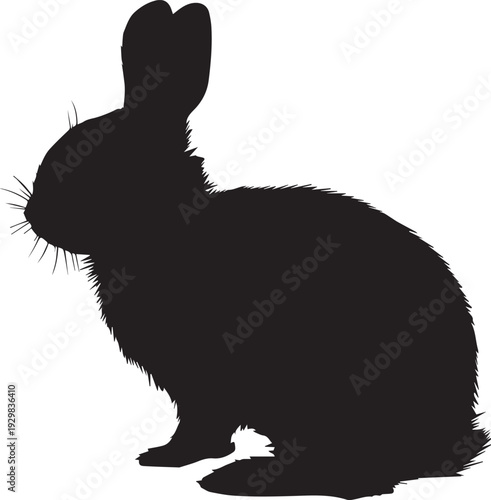 Small rabbit hopping across grassy meadow with long ears silhouette.