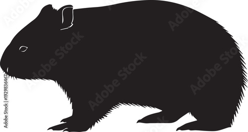 Stocky wombat with short legs burrowing in earthy terrain silhouette.