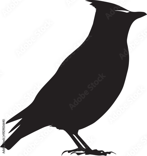 Graceful waxwing bird perched with soft colorful plumage silhouette.