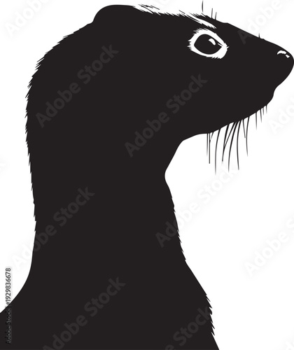 Small weasel with slender body moving swiftly through grass silhouette.