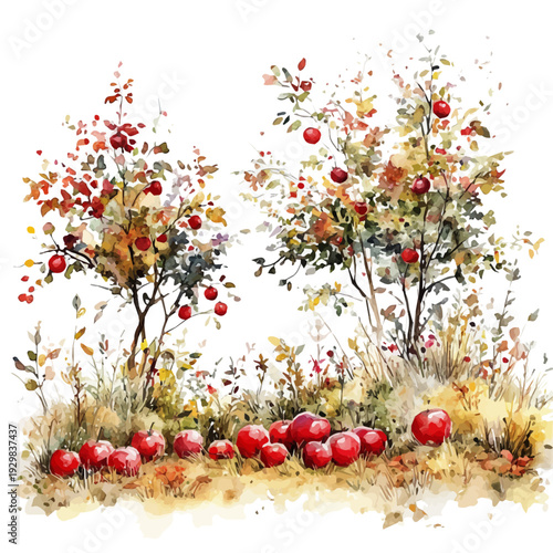 Apple Picking Fall Orchard, vector watercolor clipart with soft pastel strokes, isolated on a white background.