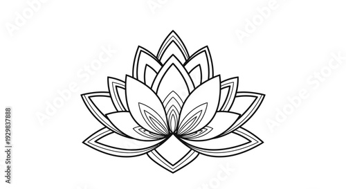 Black and white lotus flower drawing.