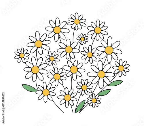 Hand-drawn daisies forming a lovely floral arrangement, representing botany, freshness, and growth with a charming minimalist style