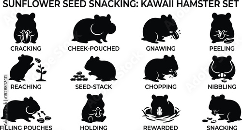 Hamster characters eating seeds cartoon animal vector set