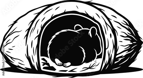 Hamster sleeping in a natural coconut shell pet house