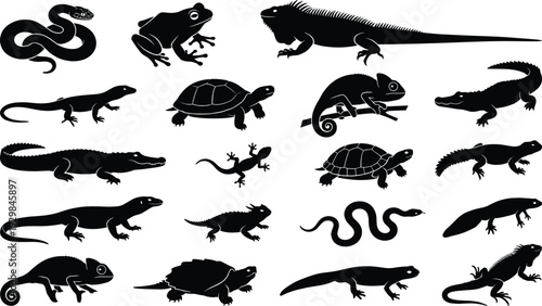 Reptile silhouette set, lizard turtle snake icons, crocodile alligator vectors, frog chameleon shapes, desert wildlife graphics, amphibian symbols, exotic animal outlines, isolated, collection