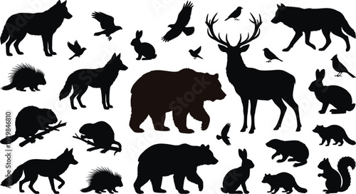 Wildlife silhouette collection, bear wolf deer rabbit icons, forest animal vectors, bird eagle silhouettes, woodland creature shapes, nature graphics, predator outlines, isolated mammals, set