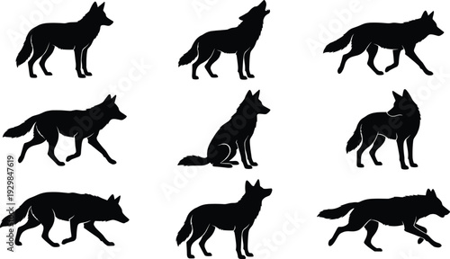Wolf silhouette set, howling coyote icons, wild dog vectors, timber wolf shapes, predator graphics, animal behavior symbols, canine outlines, isolated, pack, collection