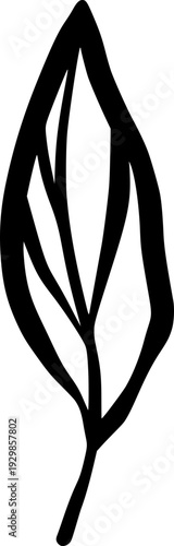 Doodle Line Leaf