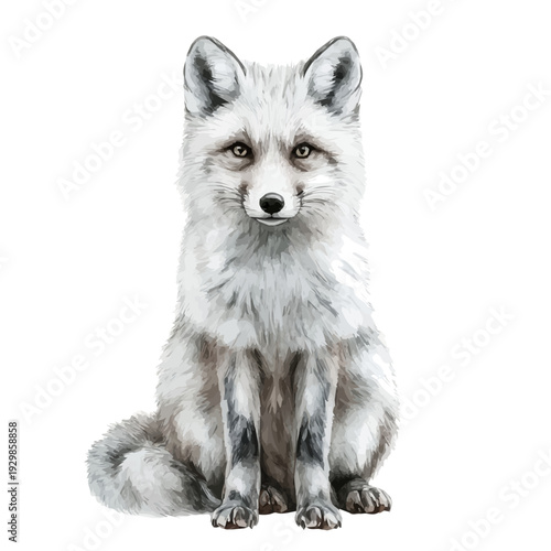Arctic Fox, refined watercolor illustration with luminous tones and soft layered brushwork, isolated on a white background.