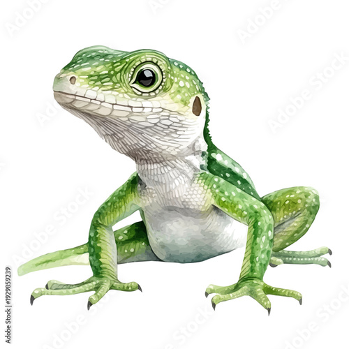 Anole Lizard, illustration watercolor artwork with subtle gradients and elegant contours, isolated on a white background.