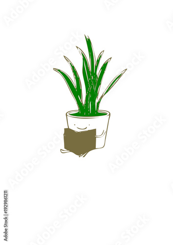 PLANTA DE INTERIOR SVG 