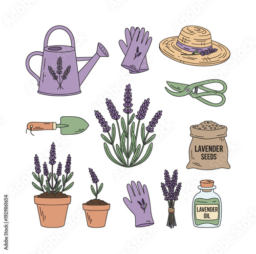 Full collection of vector isolated elements for cultivating lavender, including harvest, essential oil, seeds, and outdoor activities
