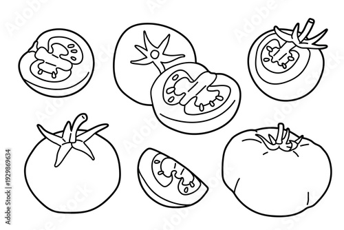 Set of tomatos in different views, black and white outline illustration. Hand drawn food whole and sliced, isolated on light background for colouring or coloring pages, menu or food design.
