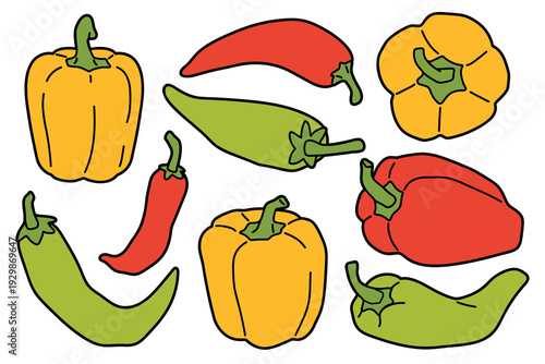Set of cartoon colorful bell peppers in different views, flat illustration. Hand drawn food whole , isolated on white background for menu or food design.