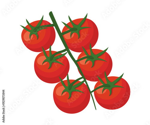 Branch of ripe cherry tomatoes isolated on white background. Flat vector illustration of fresh small tomatoes