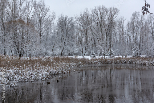 Wallpaper Mural Landscape of South Park in city of Sofia, Bulgaria Torontodigital.ca