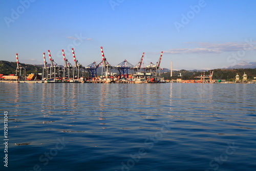 Industrial Port Scene with Towering Container Cranes