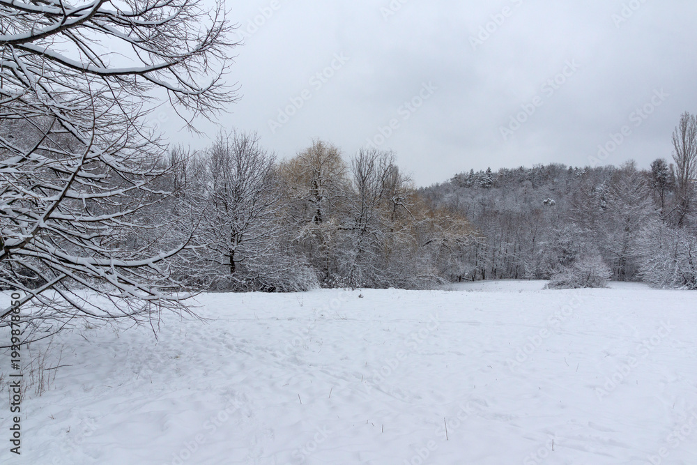 Obraz premium Landscape of South Park in city of Sofia, Bulgaria